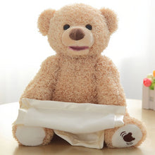 Load image into Gallery viewer, Peek-a-Boo Teddy Bear